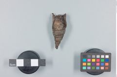 Foto (Seitenansicht) von buddistisches Amulett 4 (NHMW-ZOO-MO-0081100-ETH-114)
